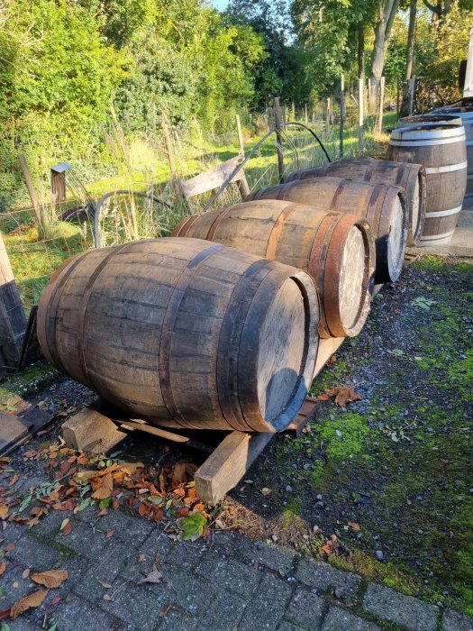 foto r 52 whiskey 300 ltr